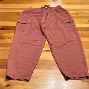 Old Navy Active StretchTech Pants in burnt orange color